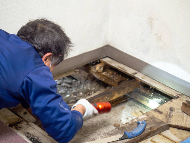 Best Office Mold Removal Services  in Chattahoochee Hills, GA