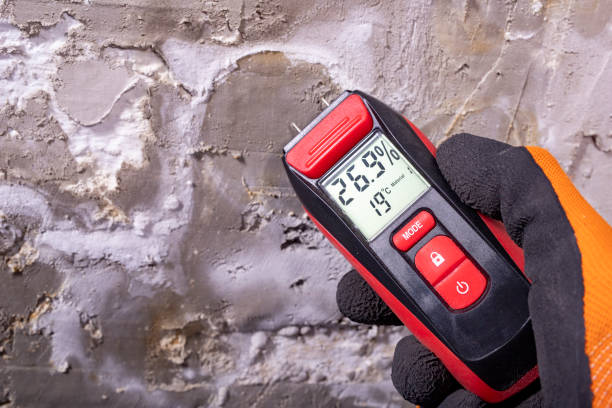 Best Crawl Space Mold Removal  in Chattahoochee Hills, GA