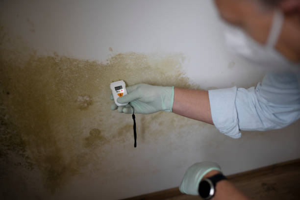Best Toxic Mold Removal  in Chattahoochee Hills, GA