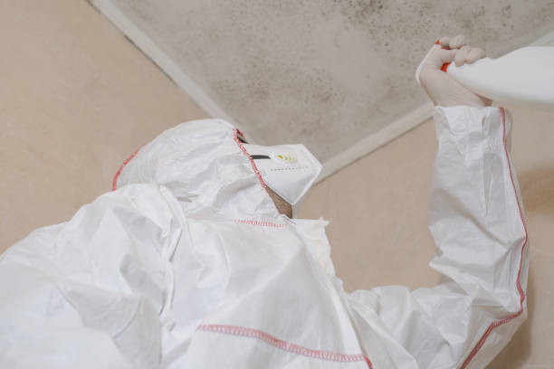 Certified Mold Removal in Chattahoochee Hills, GA