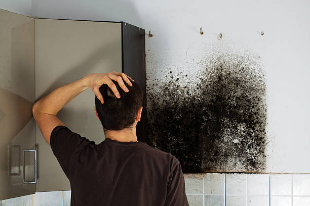 Best Emergency Mold Removal  in Chattahoochee Hills, GA